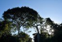 2020.07.28_apa das onças_natureza © roberto guedes (41).JPG