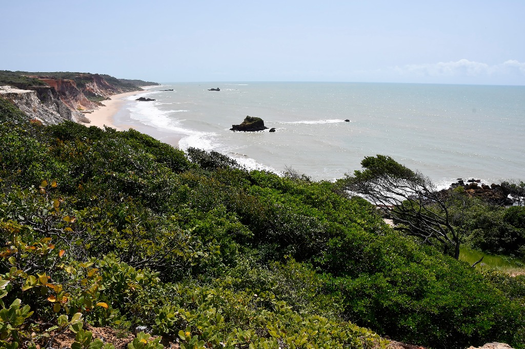APA Tambaba_praia da arapuca © roberto guedes (39).JPG