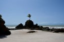 APA Tambaba_praia de tambaba © roberto guedes (52).JPG