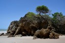 APA Tambaba_praia de tambaba © roberto guedes (56).JPG