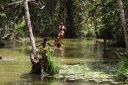 Rio do Gozo, Baía da Traição