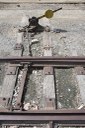 2021.05.13_itabaiana_ferrovia © roberto guedes (25).JPG