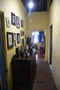 2021.05.13_pilar © roberto guedes (118).JPG