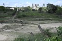 2021.05.13_pilar_pontes © roberto guedes (144).JPG