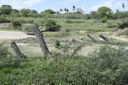 2021.05.13_pilar_pontes © roberto guedes (146).JPG