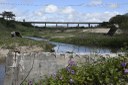 2021.05.13_pilar_pontes © roberto guedes (150).JPG
