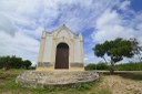 2021.05.13_sao miguel taipu_eng taipu © roberto guedes (13).JPG