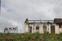2021.05.13_sao miguel taipu_eng taipu © roberto guedes (2).JPG