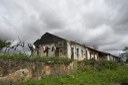 2021.05.13_sao miguel taipu_eng taipu © roberto guedes (9).JPG
