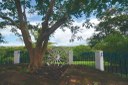2021.05.13_sao miguel taipu_engenho novo © roberto guedes (42).JPG