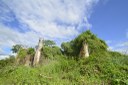 2021.05.13_sao miguel taipu_itapua © roberto guedes (22).JPG