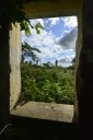2021.05.13_sao miguel taipu_itapua © roberto guedes (29).JPG