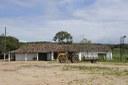 2021.05.13_sao miguel taipu_oiteiro © roberto guedes (6).JPG