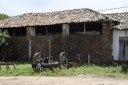 2021.05.13_sao miguel taipu_oiteiro © roberto guedes (8).JPG