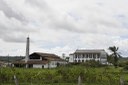 2021.05.13_sao miguel taipu_oiteiro © roberto guedes (82).JPG