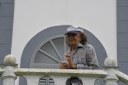 2021.05.13_sao miguel taipu_oiteiro_cloris vieira © roberto guedes (30).JPG