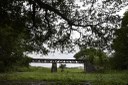 2021.05.13_sao miguel taipu_ponte ferrea © roberto guedes (3).JPG