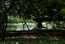 APA mata do buraquinho © roberto guedes (18).JPG