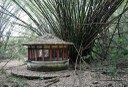 APA mata do buraquinho © roberto guedes (28).JPG