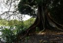 APA mata do buraquinho © roberto guedes (36).JPG