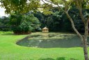 APA mata do buraquinho © roberto guedes (52).JPG