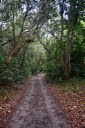 parque estadual da mata do xem xem © roberto guedes (14).jpg