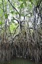 parque estadual trilhas © roberto guedes (10).JPG