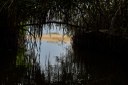 parque estadual trilhas © roberto guedes (13).jpg