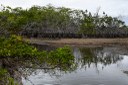 parque estadual trilhas © roberto guedes (2).jpg