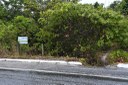 parque estadual trilhas © roberto guedes (26).JPG
