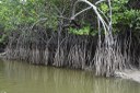 parque estadual trilhas © roberto guedes (8).JPG