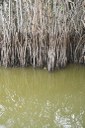 parque estadual trilhas © roberto guedes (9).JPG