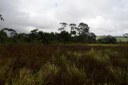estação ecologica pau brasil © roberto guedes  (10).JPG