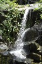 20200915_APA Roncador © roberto guedes (13).JPG