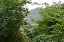 20200915_APA Roncador © roberto guedes (35).JPG