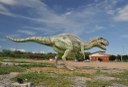 2020.07.27_ monumento natural vale dos dinossauros © roberto guedes (14).JPG