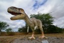 2020.07.27_ monumento natural vale dos dinossauros © roberto guedes (7).JPG