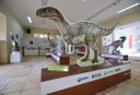 2020.07.27_ monumento natural vale dos dinossauros_museu © roberto guedes (37).JPG