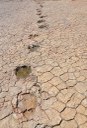 2020.07.27_ monumento natural vale dos dinossauros_pegadas © roberto guedes (28).JPG