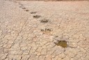 2020.07.27_ monumento natural vale dos dinossauros_pegadas © roberto guedes (29).JPG