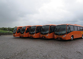 foto2.jpg