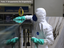 Foto: 1º Grupamento De Engenharia