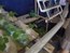 DSCF3541.jpg