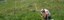 biodiversa-big-640x200.jpg