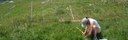 biodiversa-big-640x200.jpg biodiversa-big-640x200.jpg