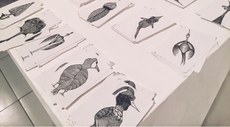 Exposição Revoares pode ser visitada até 14 de julho