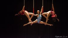 Grupo de artistas circenses em cena no palco