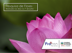 Pesquisa realizada nos dias 6 e 7 de Junho.