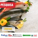 Confira a pesquisa de preço dos peixes que PROCON-PB realizou em João Pessoa Confira a pesquisa de preço dos peixes que PROCON-PB realizou em João Pessoa