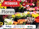 flores.jpg flores.jpg